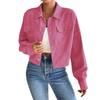 2024 Autumn and Winter Cross-border Amazon Europe, America, Temperament Slim-fitting Short Zipper Cardigan Polo Neck Corduroy Jacket