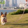 Adjustable Dog Leash Wear-resistant Nylon Dog Walking Rope Heavy Duty Explosion-proof Puppy Training Rope for Medium Large Dogs