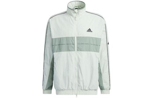 Adidas Jackets Unisex Linen Green IA9427 XL зелёный