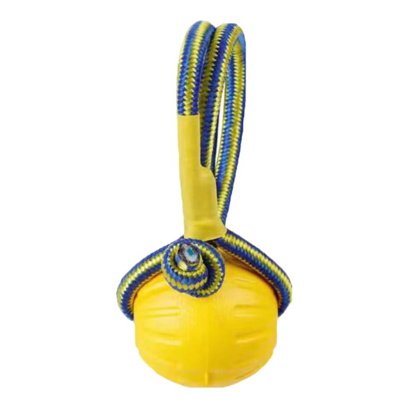 Durable Dog Training Ball
