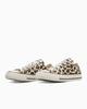 31311780 Converse All Star Leopard OX Brown (Men's)