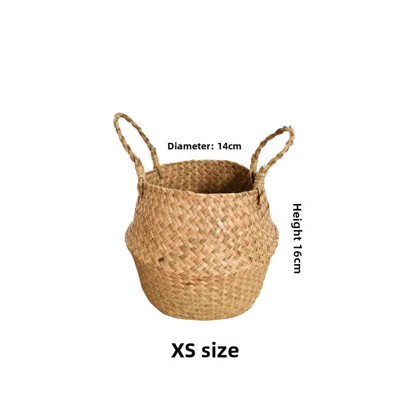 Popular Indoor Areca Palm Potted Plant - Large Green Decoration for Living Room