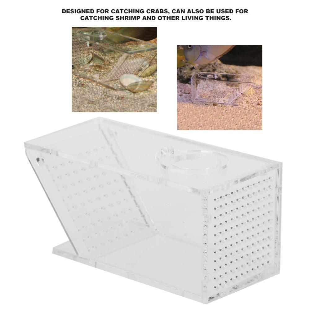 Transparent Fish Tank Trap Acrylic One Way Trap Durable Shrimp Catcher Reptile Terrarium