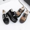 Winter Plush Thick-soled Muffin Shoes 2025 New Women's Cotton Shoes Polished Lace-up Versatile Fluffy Shoes Retro Trend