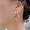 Double Layered Interlocking Circle Micro Inlaid Earrings for Trendy Women, Exquisite and Niche Design, Versatile Earrings