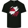 Torn Flag Greenland Unisexs Light Cotton TShirt