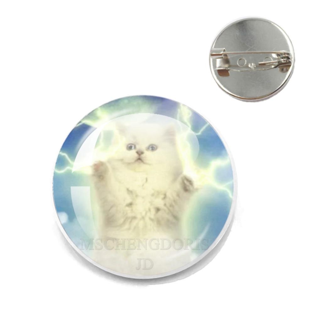 

Rainbow Cat Pins Funny Meme Pins Brooch Cartoon Badge For Friend Backpack Clothes Collect Accessories Jewelry Gift 25MM