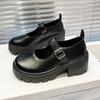 Mary Jane Women's Shoes 2025 New Fashion Versatile with Skirt Small Leather Shoes Women's French One-word Buckle Belt Thick Heel Single Shoes