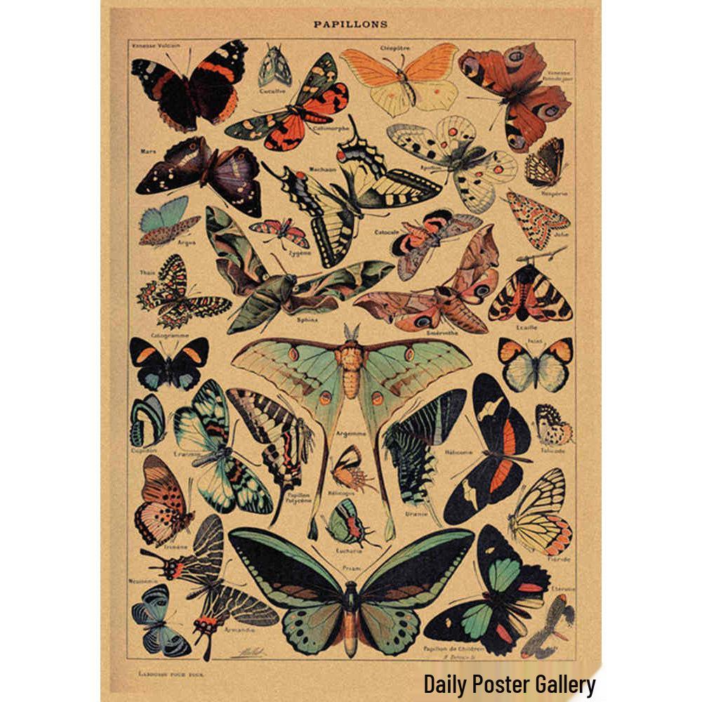 Retro Schmetterlings-Illustrationsposter: Handbemalte Tier-Wandkunst im Vintage-Stil, europäisch & amerikanisch