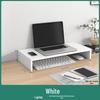 Zheng Qing Chun Single Layer Computer Monitor Riser with Desk Organizer