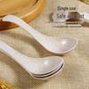 ZISIZ Individually Wrapped Degradable Disposable Spoon