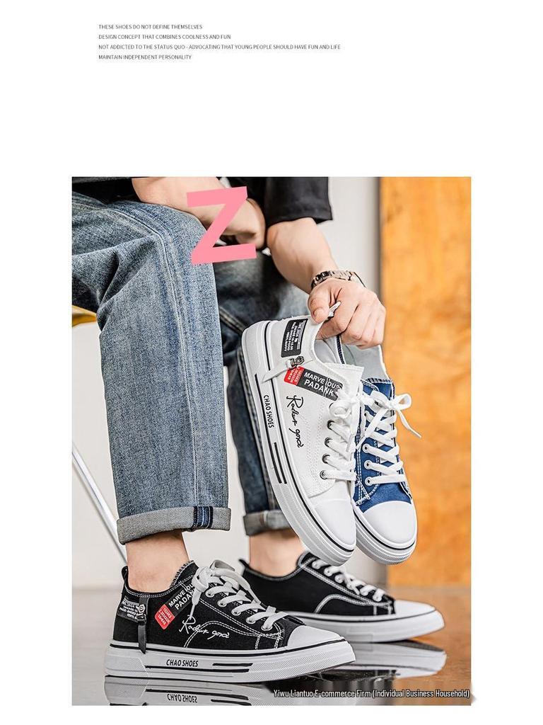 2025 Men's Breathable Versatile Canvas Sneakers - Trendy Summer Low-Top Casual Shoes for Youth