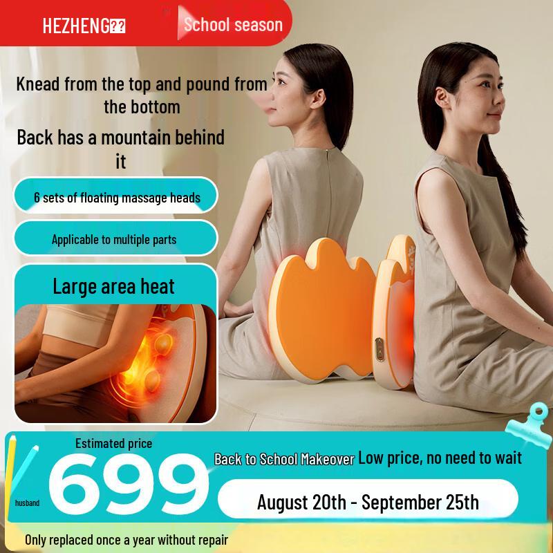 HEZHENG Waist and Back Massager CN plug (adapter included)