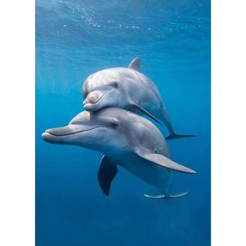 DIY 5D Diamond Painting Dolphin Full Square Drill Animal Diamond Embroidery Pictures of Rhinestones Mosaic Home Decor Art Gift