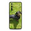 Dachshund Silhouette Dog cute Case For Realme 12 11 10 9 8 5G 7 6 GT5 GT3 GT2 Pro C21 C25 C35 For Realme GT Neo 2 3 3T 5 Cover