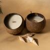 Coconut Shell Scented Candles, Household Essential Oils, Fragrance Ornaments, Plant Wax Fragrance Gifts, Natural Fragrances