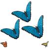 Realistic Butterfly Magnets Decorative Magnetic Art For Refrigerator Door Photo Wall DIY Craft Projects