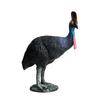 Outanaya Realistic Cassowary Figurine, 3.74x2.56x1.57 Inches, Wild Animal Model, Animal Toy for Kids, Home and Office Decoration, Great Christmas Gift