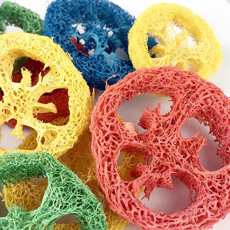 Natural Loofah Chew Toys for Small Pets: Hamster, Dog, Cat & Parrot Teeth Cleaners