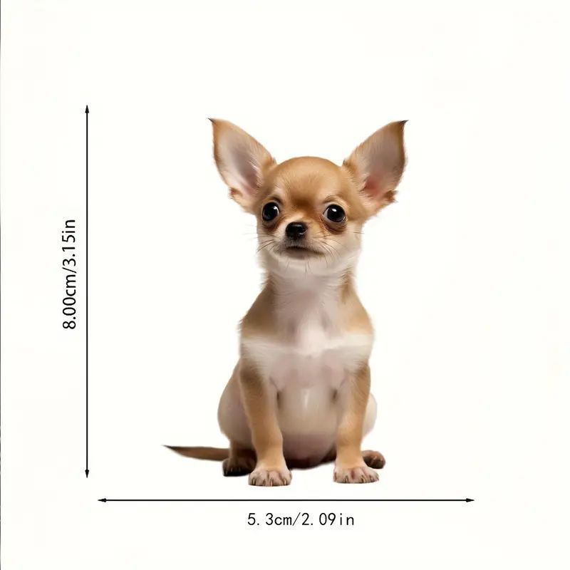 

Автомобільне дзеркало заднього виду 2d Котячий підвісний кулон Прикраси у формі тварин Аксесуари для рюкзака Креативні прикраси Декоративний декор для автомобіля