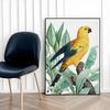 Poster Parrot Gold Plants In Black Frame
