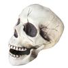 Creepy Plastic Open Mouth Skeleton Haunted House Decor Halloween Prop