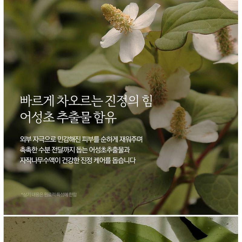 Nard Heartleaf AHA BHA PHA Peeling Pad