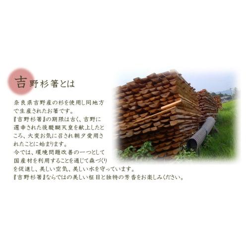 Yoshii Shoji, Made in Japan, Yoshino Cedar Rikyu Premium Disposable Chopsticks, 24cm, Cello Wrapped, 100 Pairs, YOS-005, Perfect for Kaiseki and Ryote