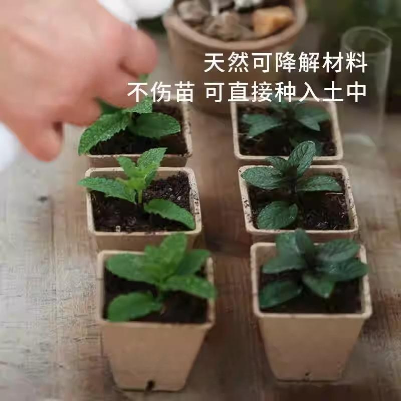 Degradable Pulp Seedling Pot Watermelon and Strawberry Breeding Pots Nutrient Pots Cultivation Cup Planting Pot Nutrition Cups