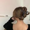 Frosted Texture Shark Hair Claw - Stylish, Simple, Large Hair Clip for Women