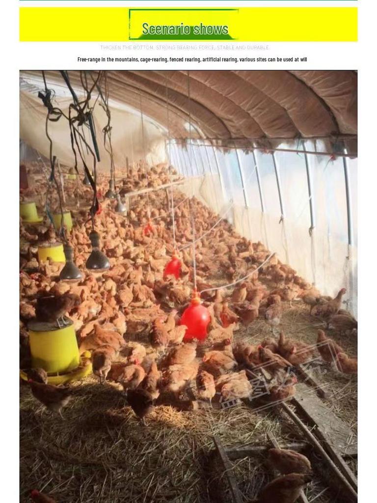 Plasson Automatic Chicken, Duck & Goose Water Drinker & Feeder