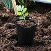 500pcs/set New Disposable Plant Propagation Pots Plastic Black Seedling Cup Flower Vegetable Grow Bag Garden Tools