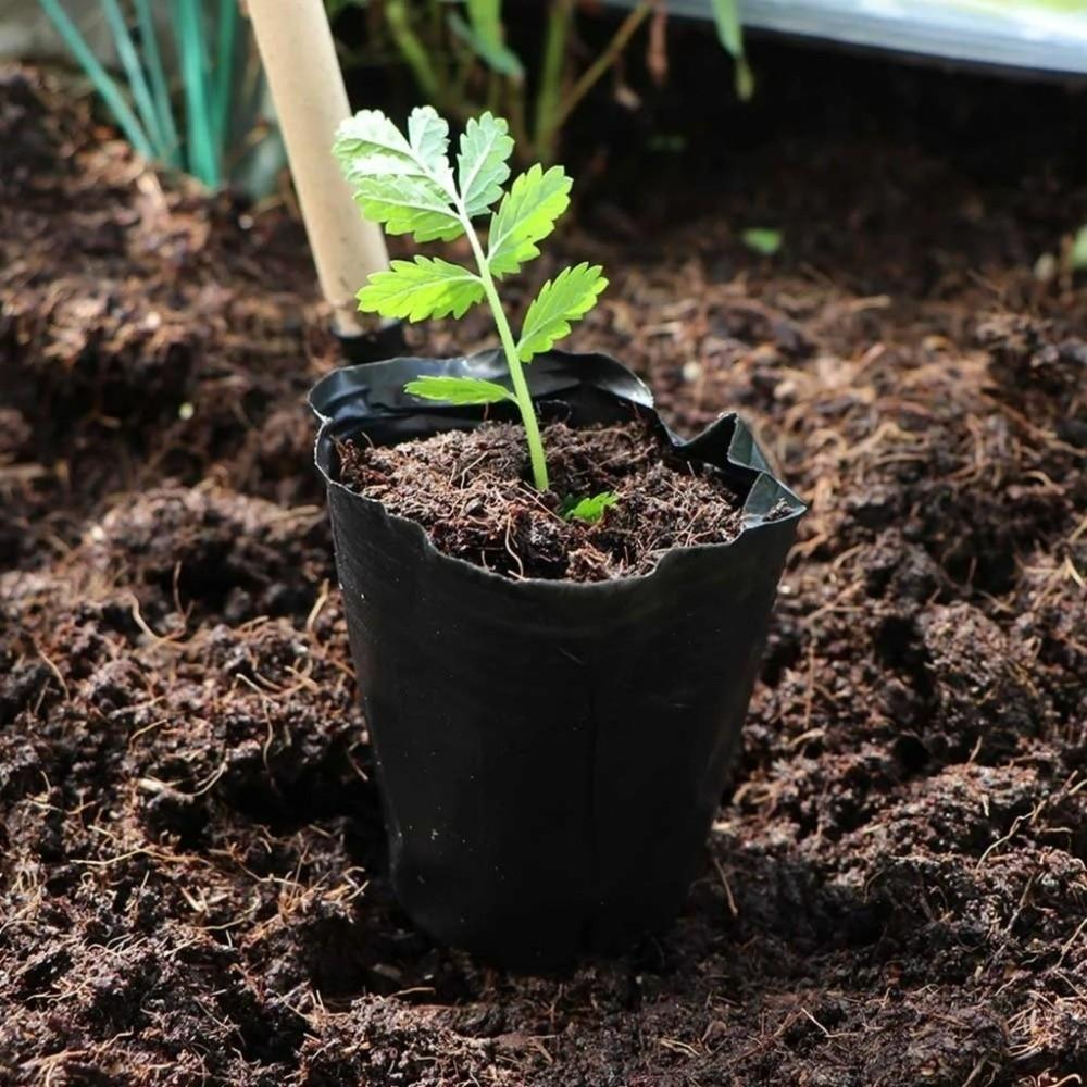 500pcs/set New Disposable Plant Propagation Pots Plastic Black Seedling Cup Flower Vegetable Grow Bag Garden Tools
