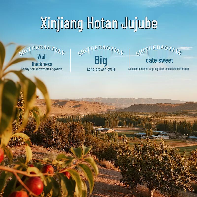 Shiyue Daotian Xinjiang Dried Red Dates