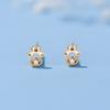 Stud Earrings Women's Summer Korean Version Simple and Small Earrings Temperament Daily Commuting Ear Hole Zircon Earrings