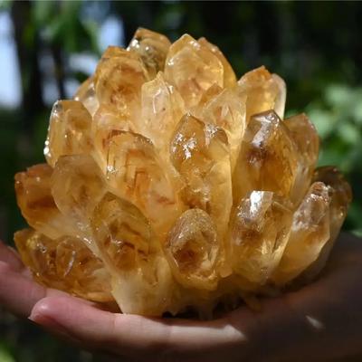 650g Natural Raw Citrine Quartz Stone Crystal Cluster Healing Yellow Stones Mineral Specimen Home Decoration 1pcs