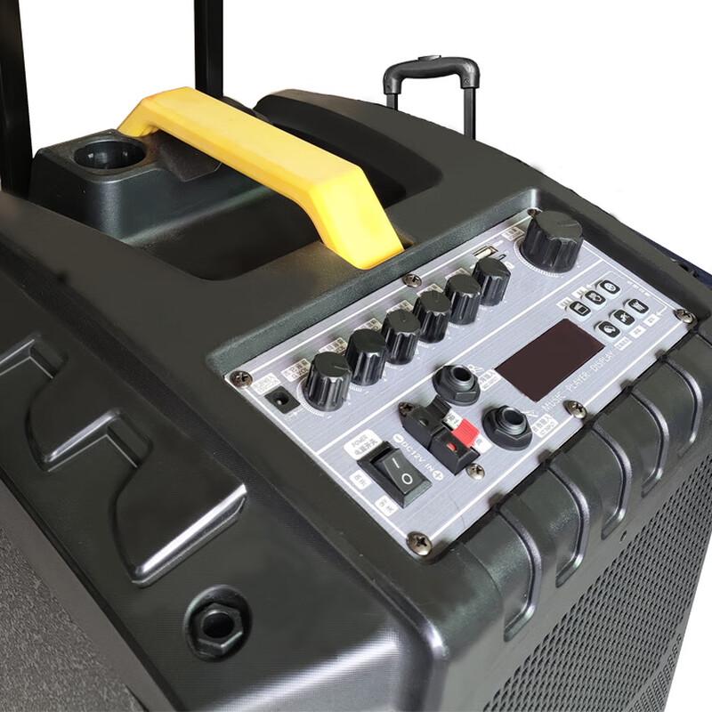 GAV K910 10-inch Portable Bluetooth Speaker with Dual Microphones