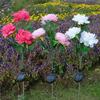 Solar Peony Flower Lamp Gift Choice For Garden Enthusiasts Gentle Illumination Peony Flower Lights