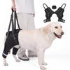 Legs Hip Support Dog Lift Harness Adjustable Black Pet Aid Assist Tool Soft Padded Sturdy Handle Walking Support Straps