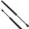2PCS Rear Trunk Lift Supports Struts Gas Springs For BMW 3 Series E46 32I 330Ci 320Ci 325Ci M3 320Cd 330Cd 318Ci 51248227895