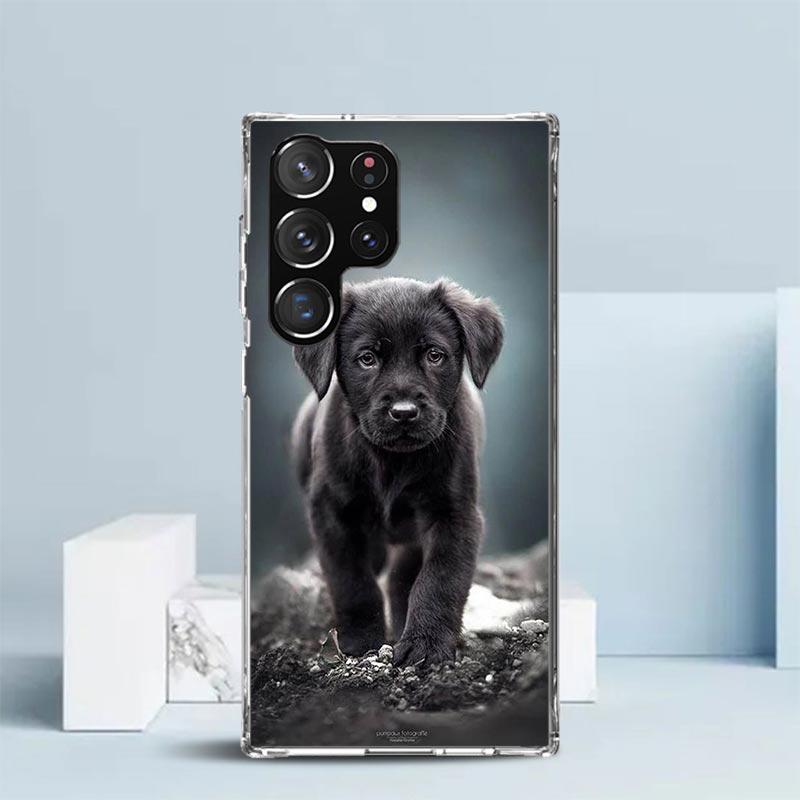 Labrador Retriever Dog Phone Case For Samsung Galaxy S24 S25 Edge S26 Ultra S22 S23 Plus S21 + S20 FE Soft TPU Back Cover Galaxy