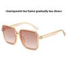 New fashion sunglasses women's square sunglasses plain and versatile ins simple classic sunglasses