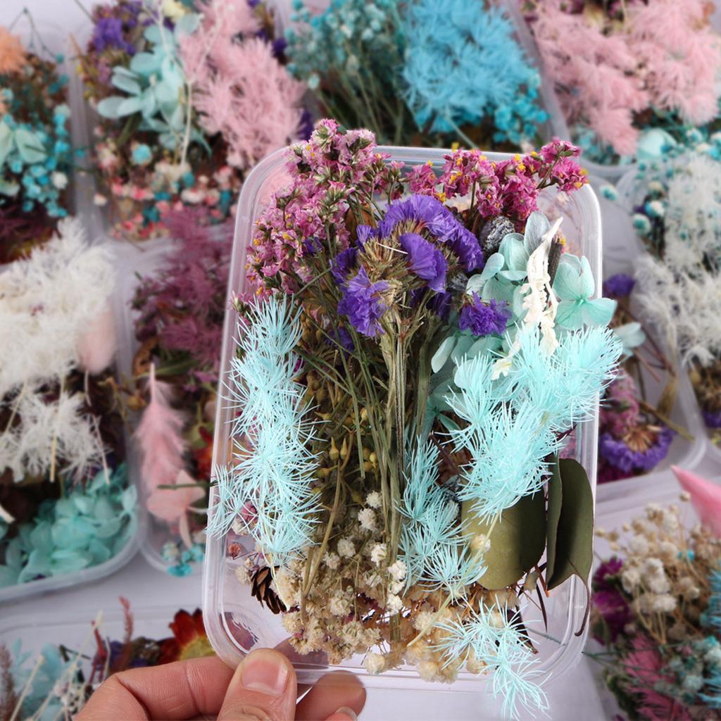 Gemischte Trockenblumen für Scrapbooking Seifen- und Kerzenherstellung Dekoration DIY Bastelbedarf