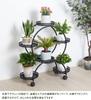 Susire Flower with Flower Potted Plant Plant Garden Flower Gardening Balcony Stand, Indoor, Casters, Iron, Black, Stand, Stand, Shelf, Rack, Stand,