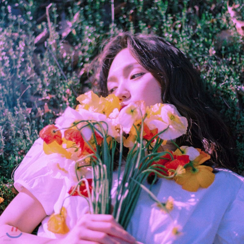 

Jade - Violet Dreamer