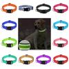 Durable Reflective Neoprene Dog Collar Available In 12 Vibrant Colors And 5 Sizes