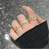 Three-Dimensional Exquisite Medieval French Retro Open Ring Luxury Light Luxury Niche Zircon Accessories Women