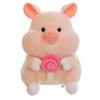Soft Pig Holding Lollipop Plush Toys PP Cotton Stuffed Pig Plushie Doll  Home Decor