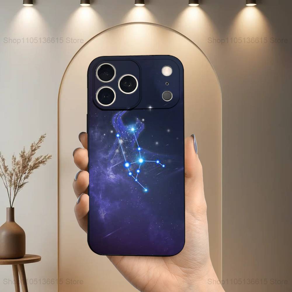 Constellation Art Twelve Case For iPhone 11,12,15,14,13,16,17,Plus,Pro Max,XS,X,XR,SE,Mini,8,7,Soft Silicone Black