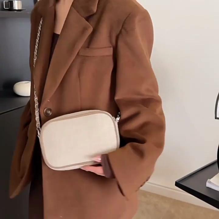 Designer Tote Bags for Women Small Purse and Handbags Crossbody Bag Luxury Chain Bag Fashion Canvas Shell Shoulder Bags